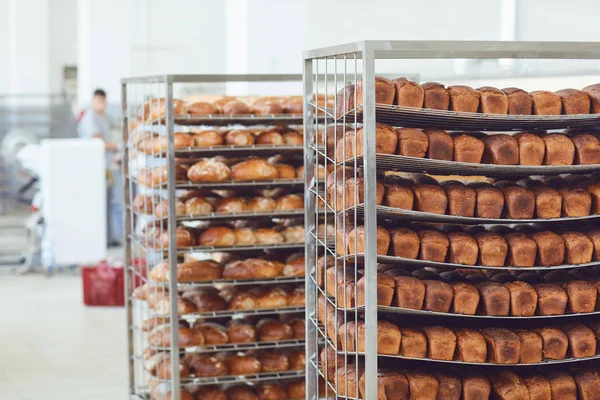 Tray with fresh brown bread at the bakery. — Stock Photo, Image