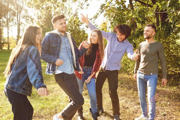 Grupo de amigos felices están caminando en el parque . — Foto de Stock