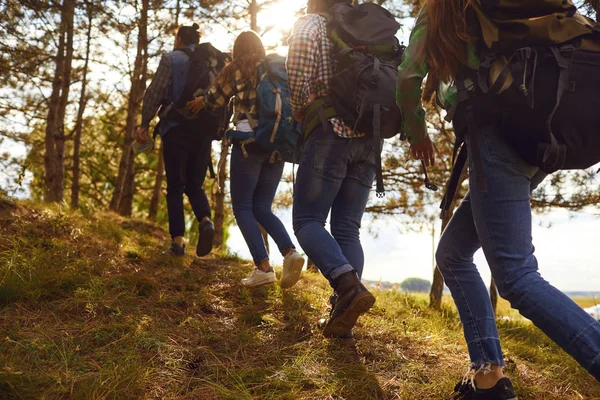 Skupina přátel, kteří chodí pěšky s batohy v lese . — Stock fotografie