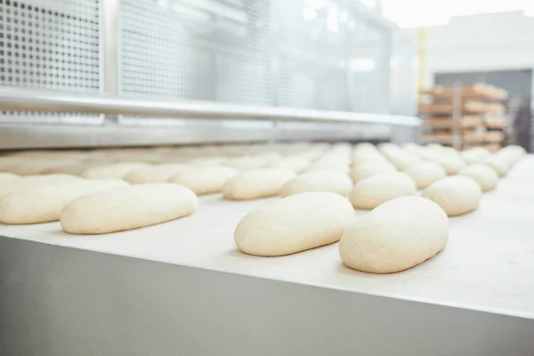 Свіжий хліб щойно запечений у пекарні — стокове фото