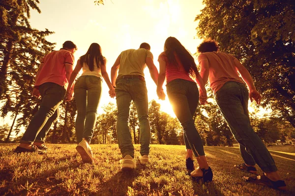 Skupina šťastných lidí při západu slunce v přírodě. — Stock fotografie