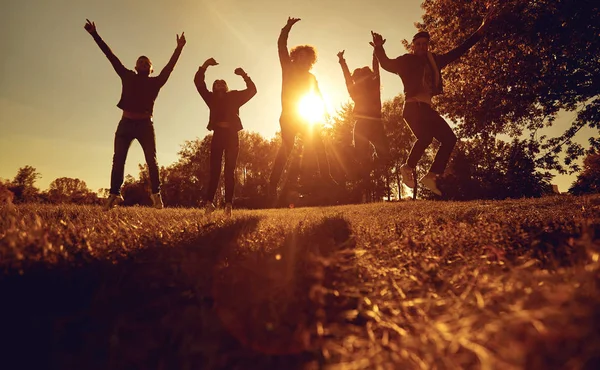 A group of young people jumping on the grass in the park at sunset. — Stock Photo, Image