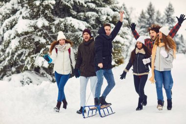 Karlı ormanda kızaktaki neşeli insanlar