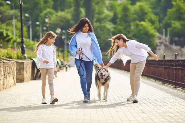 愛らしい子供たちとハスキー犬が街の通りを歩いている美しい若い女性。ママと子供とペット屋外 — ストック写真