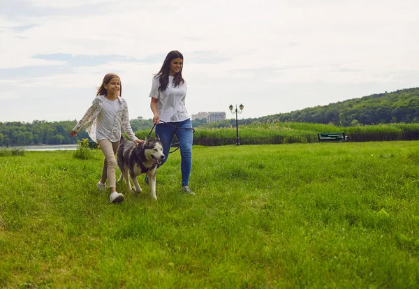 Счастливая мать и дочь с собакой веселятся гуляя по траве в парке . — стоковое фото