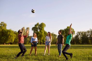 Bir grup arkadaş yaz parkında çim pikniğinde top oynarken eğleniyorlar..
