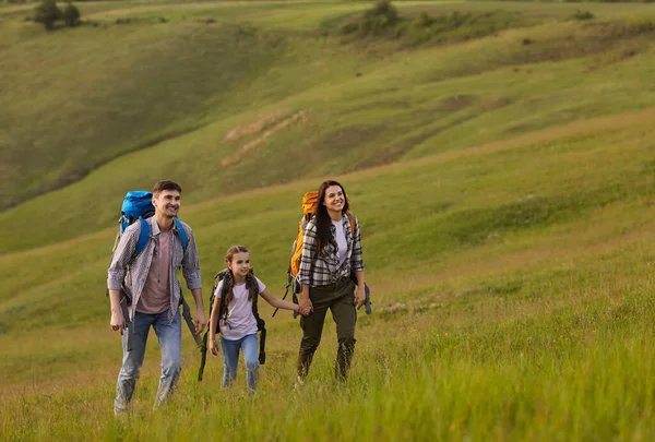 Una familia de turistas senderismo ckpacks está caminando a lo largo de la hierba en una colina en las montañas . — Foto de Stock