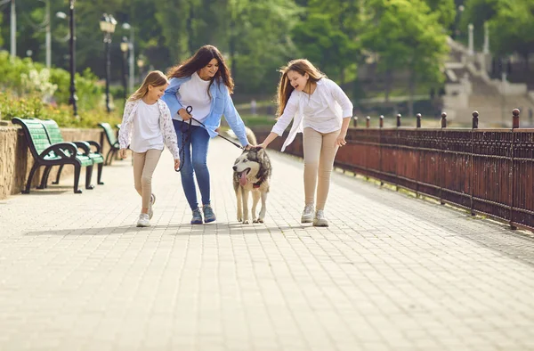 Собака хаски и семья веселятся в летнем парке . — стоковое фото