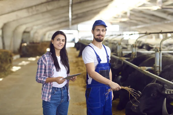 Melkveehouders die in een koeienstal bij een rij stallen staan en naar de camera kijken en glimlachen — Stockfoto