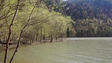 iğne yapraklı ağaçlar tarafından doldurulur alçak bir tepenin eteklerinde sakin göl