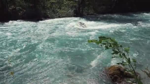 Поток воды течет в направлении реки, вдоль берегов растут деревья — стоковое видео