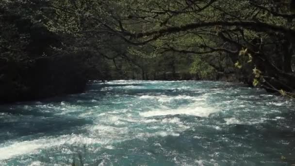 Fluxo de rio poderoso em uma floresta, água azul está brilhando sob a luz do sol — Vídeo de Stock