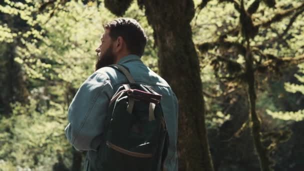 Uomo barbuto con lo zaino in piedi in un paese più piatto e guardando gli alberi — Video Stock
