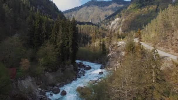 Hermosa vista de la naturaleza. — Vídeo de stock