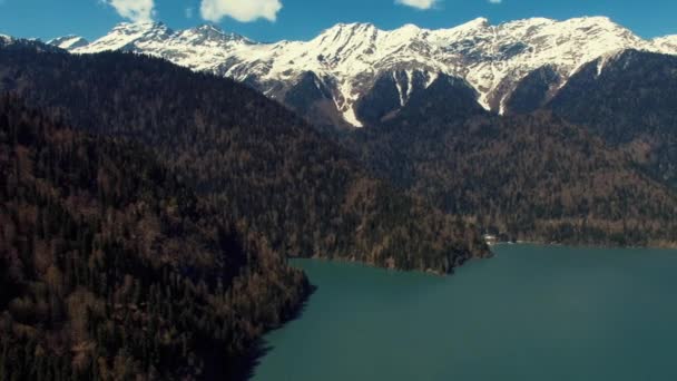 Shooting of the forest from above. — Stock Video