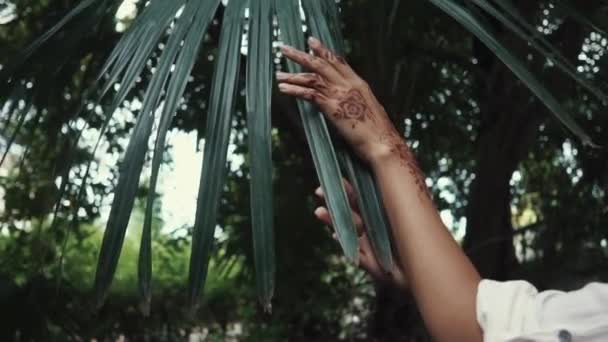 Close up shot of womans hands who touches palm leaves with tattoos on her hands — Stock Video