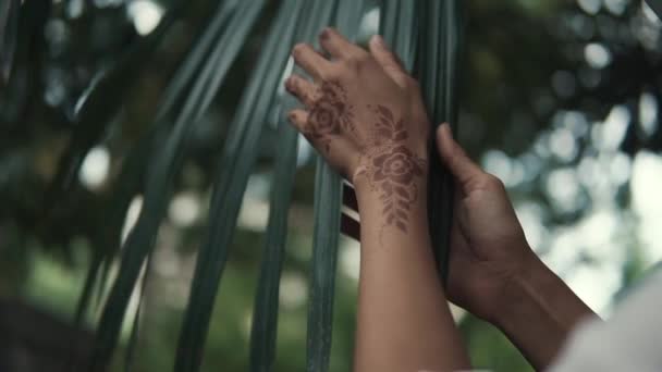 Žena s palm listy. — Stock video