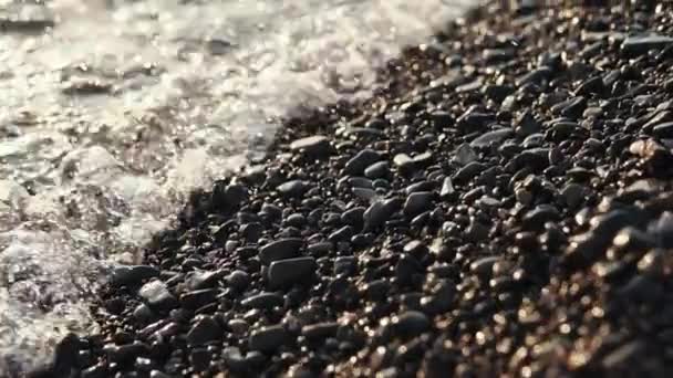Sea waves are washing gravel beach, close-up in sunset time — Stock Video
