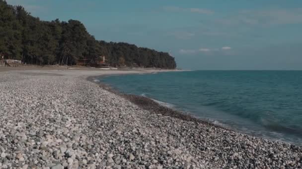 Bølger av hav vasker steinkysten om dagen, skog i bakgrunnen – stockvideo