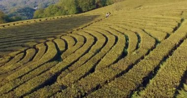 Doğada çekim dron.