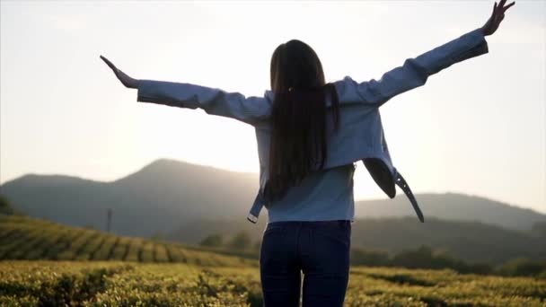 Chica delgada está estirando las manos hacia arriba, de pie en frente plantación de té en una mañana — Vídeos de Stock