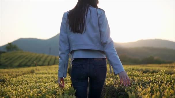 Oynak kız kameraya dönüm çiftlikte yaprakları çay çalılar okşayarak — Stok video