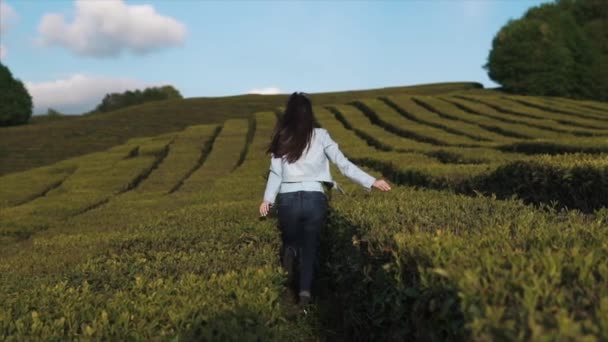 Chica alegre está corriendo entre los arbustos de la planta de té, girando a la cámara — Vídeos de Stock