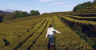 Çay tarlaları üzerinde yürüyen güzel kadın