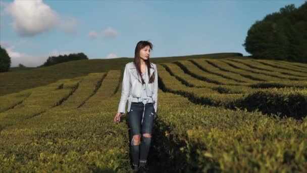 Chica alegre en la naturaleza . — Vídeos de Stock