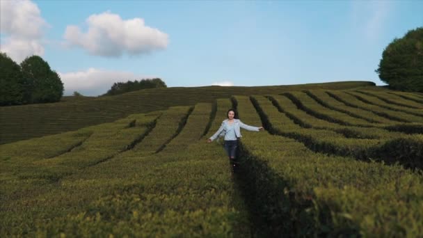 Fille gaie dans la nature . — Video