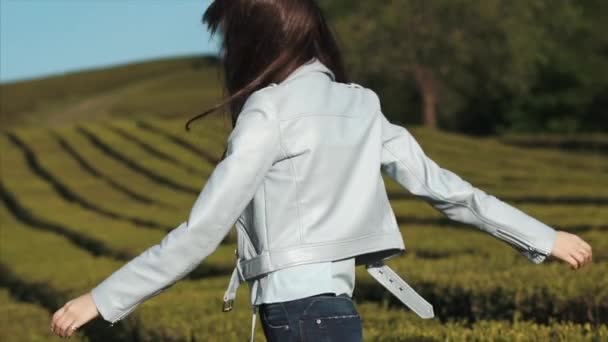 Krásná dívka tráví čas na čajové plantáže. — Stock video