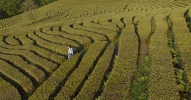Doğada çekim dron.