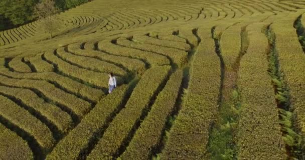 Drone tir dans la nature .