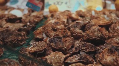 Kabuk çiğ istiridye deniz ürünleri pazarında buz yastığı üzerinde yatıyor, yakın çekim