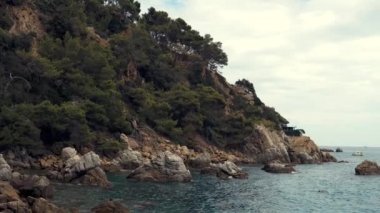 Denize yakın yeşillik ağaçları ile kaplı kayaların inanılmaz eğimi, dalgalar ayak yıkıyor