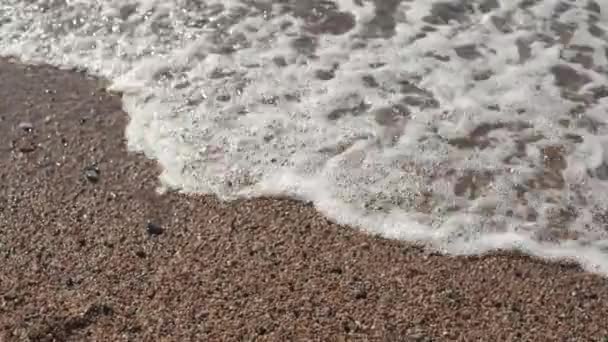 Κοντινό-up θέα των μικρών βότσαλα στη θάλασσα ακτή και τα κύματα είναι πλύσιμο ακτή — Αρχείο Βίντεο