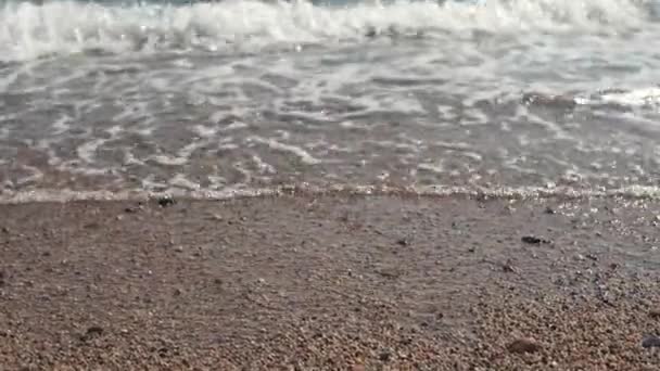 Bella spiaggia Shore . — Video Stock