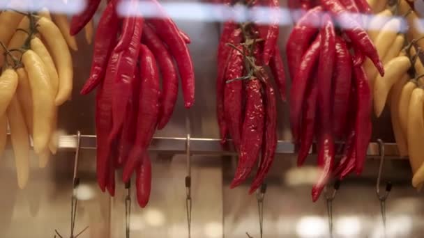 Different kinds of spicy chili peppers are hanging on wall in market, close-up — Stock Video