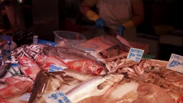 Man is cutting fish behind a counter with fresh raw fishes in a market, — Stock Video