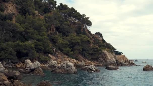 Increíble pendiente de rocas cubiertas por árboles de follaje cerca del mar, las olas están lavando los pies — Vídeo de stock