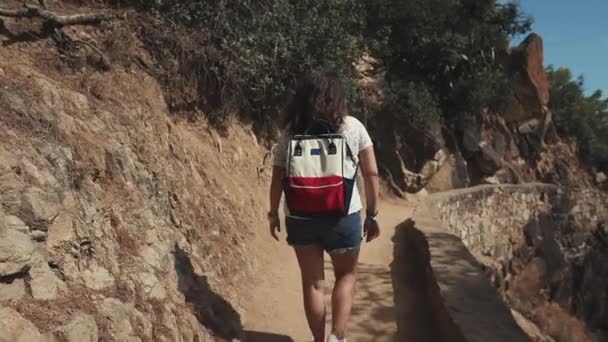 Turista feminino caminhando no caminho estreito na encosta da montanha no dia ensolarado — Vídeo de Stock