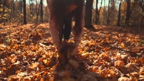 Belle fille jetant des feuilles en automne . — Video