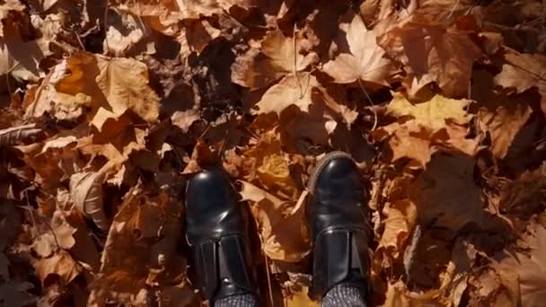 Womans fötter i högen av löv. — Stockvideo