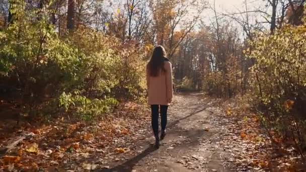 Chica caminando en un bosque solo . — Vídeo de stock