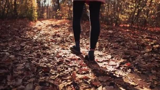 Berjalan di hutan musim gugur gadis . — Stok Video