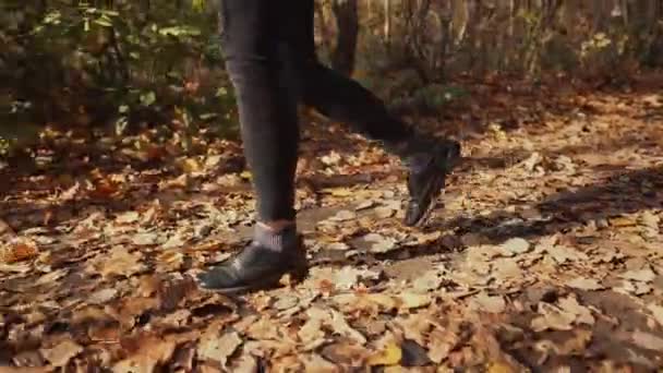 Kvinna tar en promenad i höst skogen. — Stockvideo