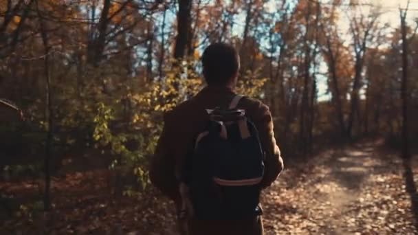 Guy rustig wandelen in een bos. — Stockvideo