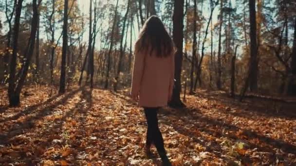 Schönes Mädchen im Herbstwald am Morgen. — Stockvideo