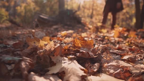 Man neemt een wandeling in een bos. — Stockvideo