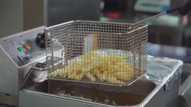 Kitchen worker is pouring frozen pieces of potato inside grid of fryer, cooking — Stock Video